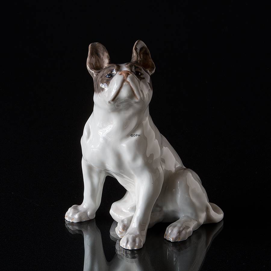 French Bulldog, Royal Copenhagen dog figurine No. r956