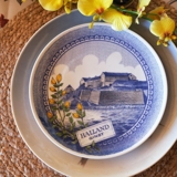 Ravn landscape plate no. 5, Halland Genista