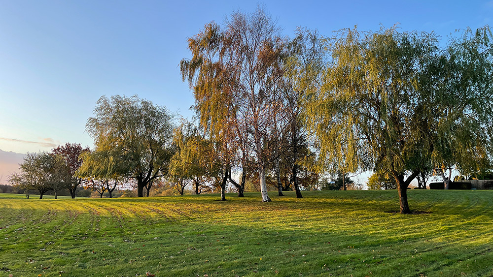 You will be greeted by green areas when you visit DPH Trading