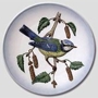 Hummel Goebel Bird Plates 